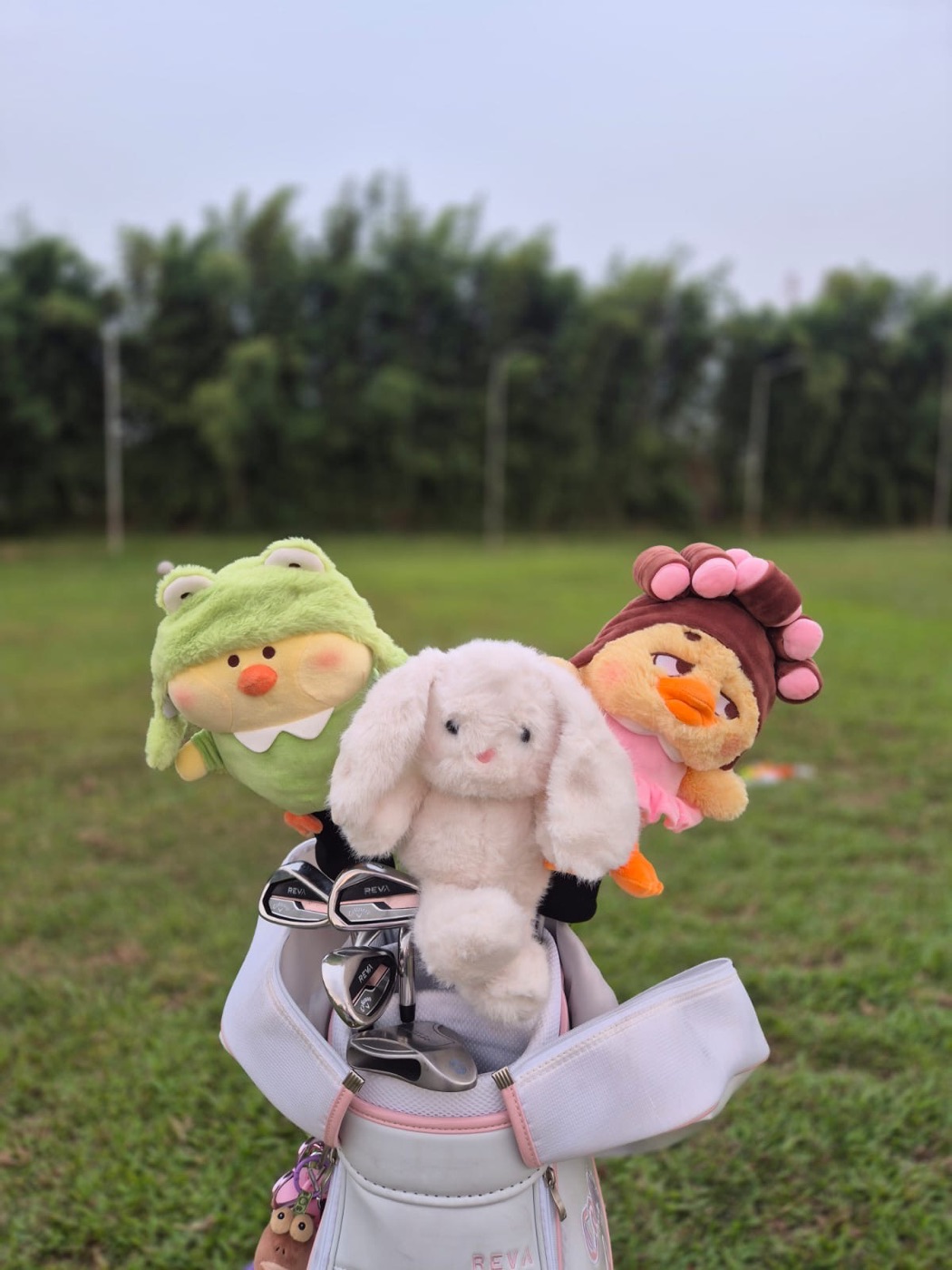 Three custom plush golf headcovers on a golf bag: a frog-hood duck, a bunny and a duck in hair curlers
